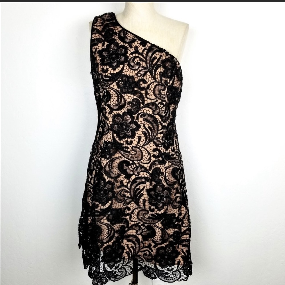 Dress the Population Isabella Black Lace Dress